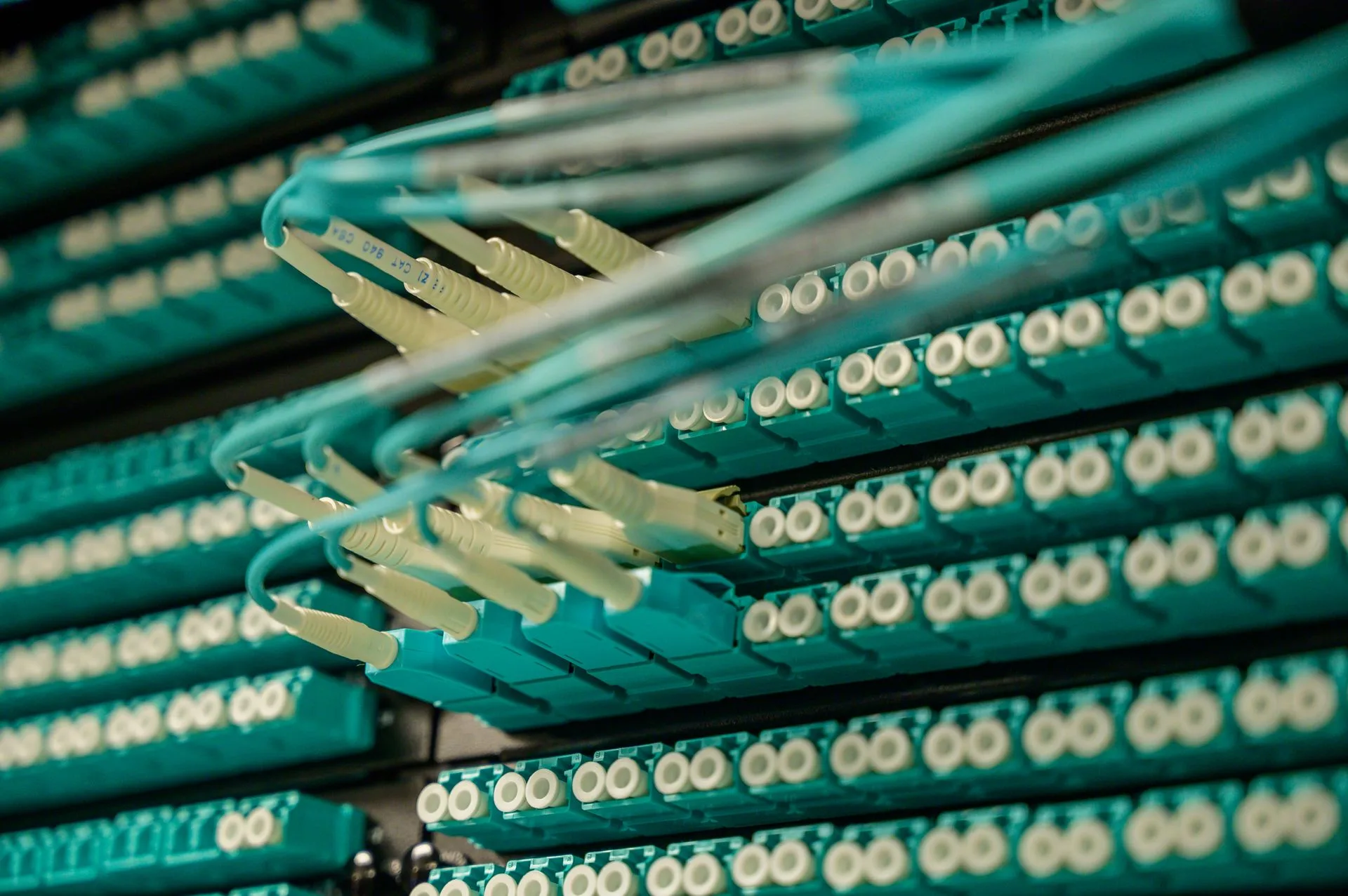 Fibre optic cables connected to a server rack
