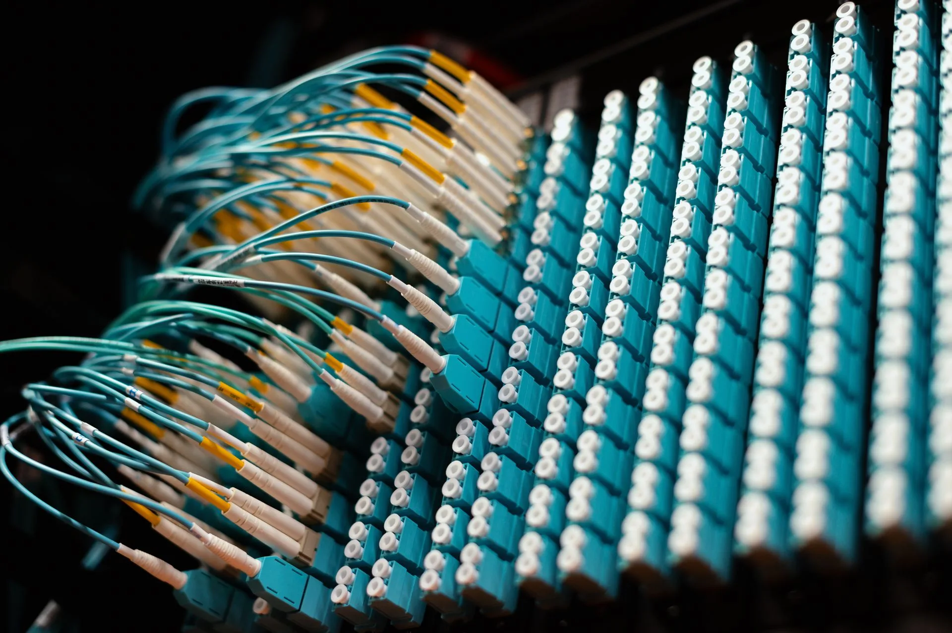 Blue patch cables plugged into a patch panel