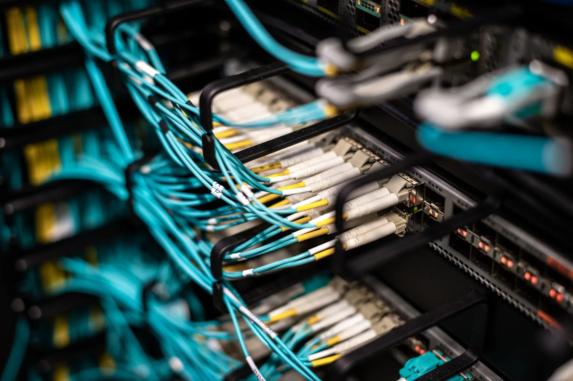 Structured network cabling plugged into a data centre patch panel